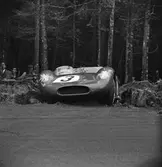 Bonnier bland halmbuntarna. Gelleråsen, Karlskoga. 1957-08-26