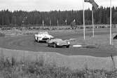 Lola och Camoradi på Gelleråsen, Karlskoga. 1960-08-07