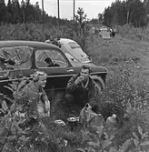 Hungriga campare vid Gelleråsen, Karlskoga. 1960-08-07