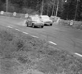 Trana och Berger tampas på Gelleråsen, Karlskoga. 1960-08-07