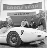 Två stallkamrater. Gelleråsen, Karlskoga. 1960-08-07