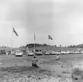 Le Mans-start. Gelleråsen, Karlskoga. 1960-08-07