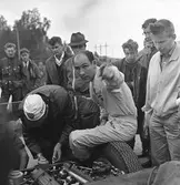 Moss pekar. Gelleråsen, Karlskoga. 1960-08-07