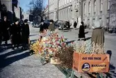 Försäljning av påskris på Stortorget, 1960-tal