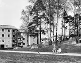 Vid kullen i Baronbackarna, ca 1960