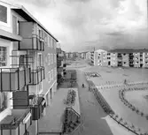 Gårdsinteriör i Baronbackarna, 1950-tal