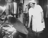 Skolbespisning, december 1950