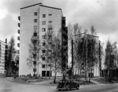 Majorsgatan norrut, april 1959