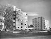 Österängshemmet, 1960-03-08