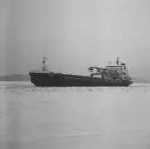 Fartyget Dania på Älven