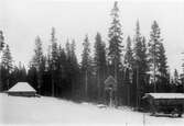 Ett ödeviste i Njunjesvarre, Pite lappmark, Norrbottens län, förebild till Murbergets skogssameviste