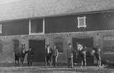 Visning av hästar, ca 1920