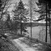 Ramsjön, 1950-07-05
