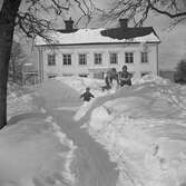 Vikersviks herrgård, mars 1951