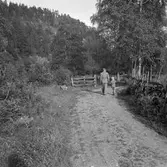 Skåle naturreservat, 1951-08-14