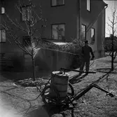 Trädbesprutning, 1953