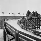 Full fart i bobbacken, 1953