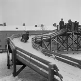 Full fart i bobbacken, 1953