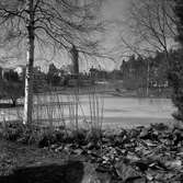 Kumlasjön, 1953-03-23