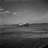 Flygplan på Gustavsviks flygfält, 1953