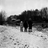 Barn tittar på tankfartyget Örebro Rex, 1954-01-01