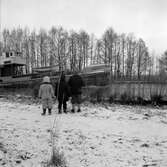 Barn tittar på tankfartyget Örebro Rex, 1954-01-01