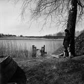 Pojke vid sjön Lången, 1954-05-09