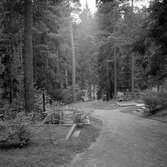 Skogskyrkogården, 1954-09-16