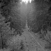 Skogskyrkogården, 1954-09-16