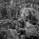 Sveafallen, 1954-09-16