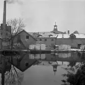 Norlings bryggeri, 1954