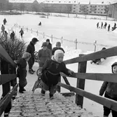 På väg upp i bobbacken, 1955-01-22