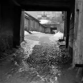 Gamla gatan 21, 1955-01-24