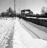 Kvinna på vinterpromenad, 1955-03-07