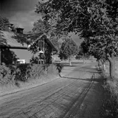 Backa handel, 1955-08-14