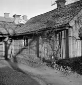 Kyrkogårdsgatan 21, 1955