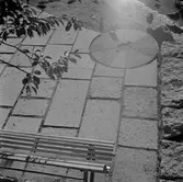 Kvarnplatsen, 1955-09-29