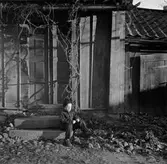 Kyrkogårdsgatan 21, 1955