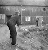Man och pojke på bakgård på gamla söder, 1955