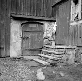 Källardörr och stentrappa, 1955