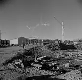 Baronbackarna byggs, 1955