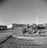 Baronbackarna byggs, 1955