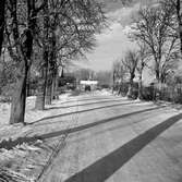 Landsvägen genom Nävesta, 1956