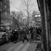 Julskyltning på Kungsgatan, 1955