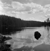 Ramsjön, maj 1956