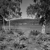 Sjön Grängen, 1956