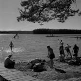 Barn på stranden på Stora Hästnäs, 1956-07-01