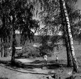 Sommarkoloni Stora Hästnäs, 1956-07-01