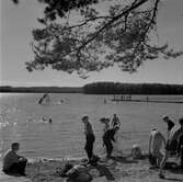 Barn på stranden på Stora Hästnäs, 1956-07-01