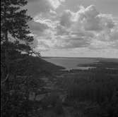 Skåle klint, 1956-07-25